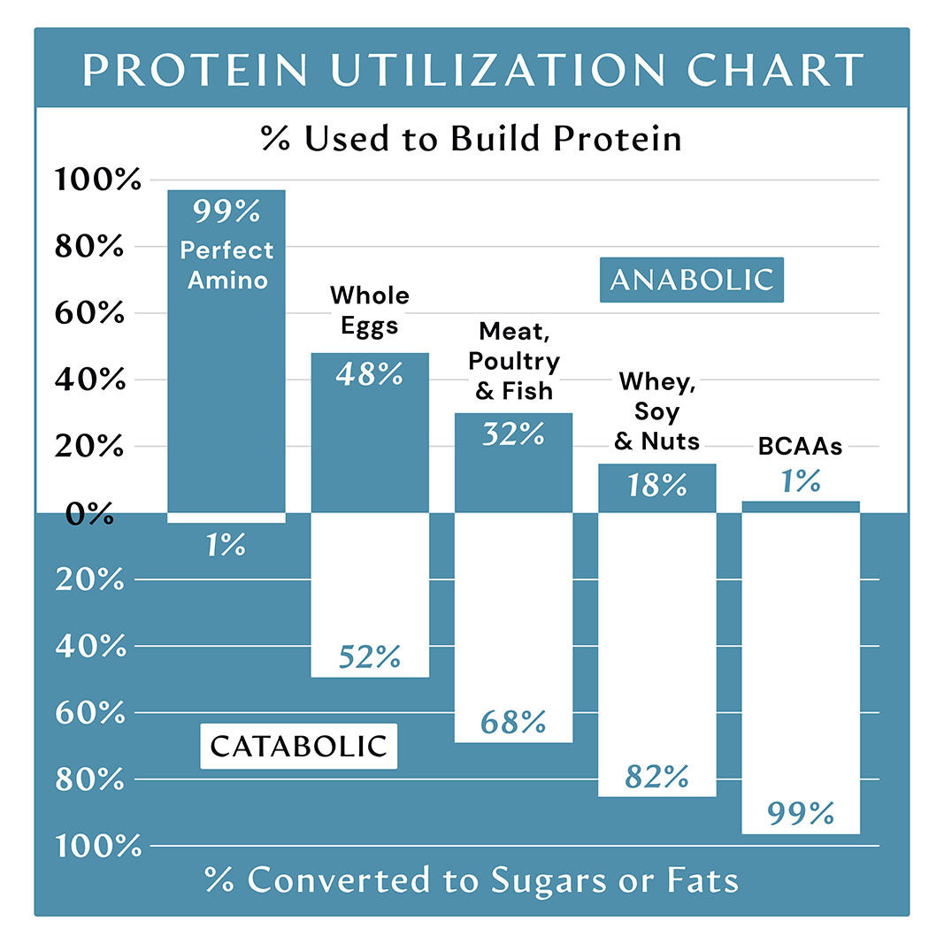 Perfect Amino (Powder)