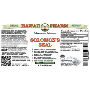 Solomon's Seal (Polygonatum Biflorum) Tincture, Wildcrafted Dried Rhizome ALCOHOL-FREE Liquid Extract